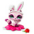 Игровой набор Littlest Pet Shop Енот Hasbro LPS 01053